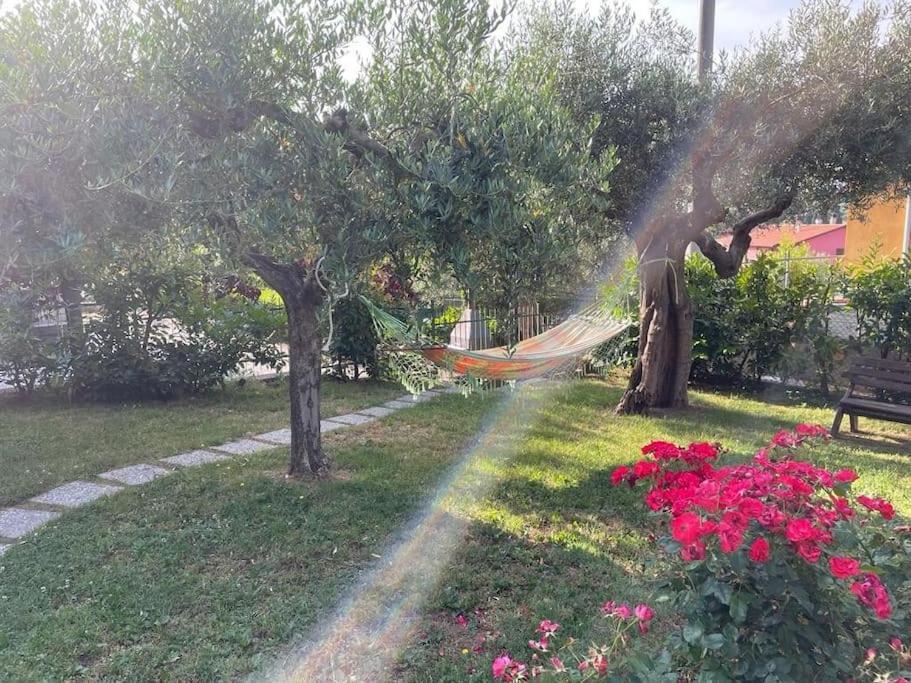 דירות פסיניאנו סול טרסימנו La Dimora Delle Rose מראה חיצוני תמונה